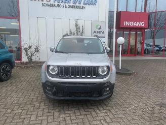 Jeep Renegade  picture 1