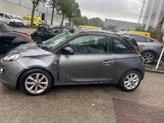 Vaurioauto  passenger cars Opel Adam Adam, Hatchback 3-drs, 2012 / 2019 1.4 16V Bi-Fuel Ecoflex 2018/9