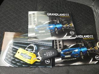 Opel Grandland 1.6 Turbo Hybrid Business Executive picture 21