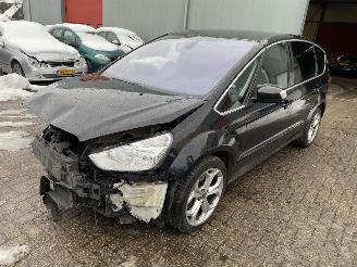 uszkodzony samochody osobowe Ford S-Max 2.0 TDCI Titanium Automaat 2012/1