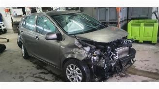 danneggiata veicoli commerciali Kia Picanto Picanto (JA), Hatchback, 2017 1.0 12V 2019/3