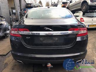 uszkodzony samochody osobowe Jaguar XF XF (CC9), Sedan, 2008 / 2015 3.0 D V6 24V 2010/8