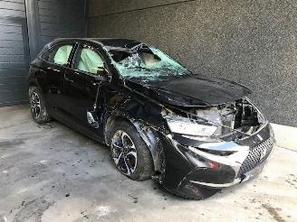 škoda osobní automobily Citroën DS 7 Crossback Hatchback 2018 1.5 BlueHDI 130 Hatchback  Diesel 1.499cc 96kW (131pk) FWD 2018/4