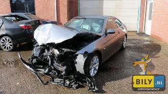škoda osobní automobily BMW 3-serie E92 335d A 2007/1