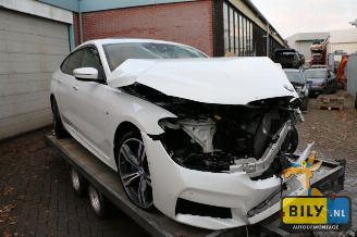 Vaurioauto  passenger cars BMW 6-serie G32 3.0dX 2017/8