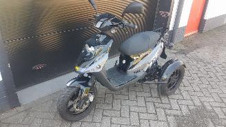 ocasión ciclomotor PGO  PGO driewielscooter 2012/1